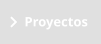 Proyectos